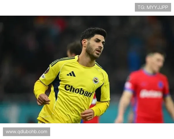 费内巴切在新赛季表现强劲，数据分析揭示球队潜力与关键球员状态