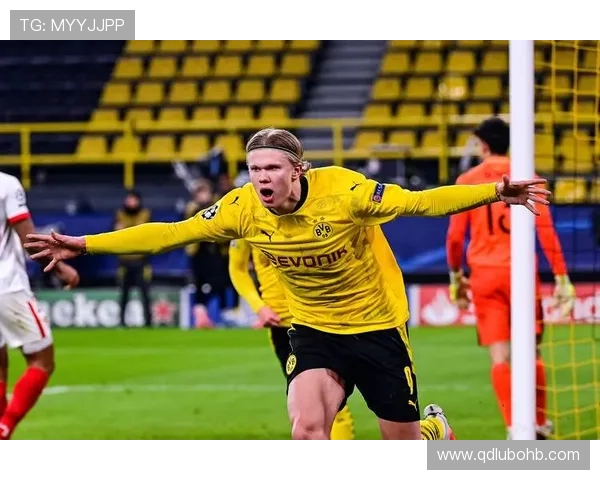 哈兰德转会焦点